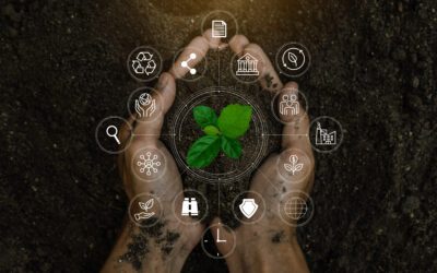 CT is driving VET toward sustainability with GREEN, the first European network integrating green skills into vocational education